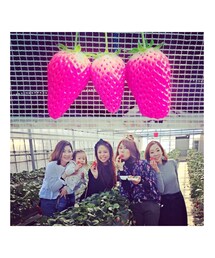 🍓いちご狩り🍓 | その他