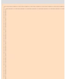 passage mignon/flaneur | ハンドバッグ