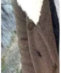 BEAMS BOY | ジャケット/アウター