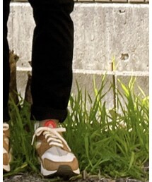 STUSSY | スニーカー