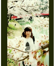 adidas | Tシャツ/カットソー