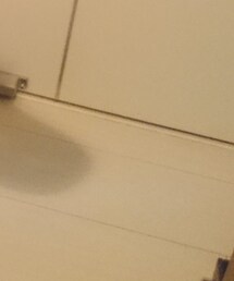 Carter's | Tシャツ/カットソー