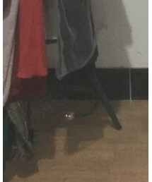 TYAKASHA | レッグウェア