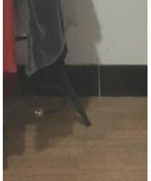 octopus-me | シューズ