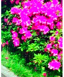 ZARA | ショルダーバッグ