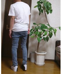 バックアングル | Tシャツ/カットソー