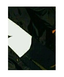 NESTA | Tシャツ/カットソー