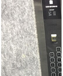 Champion | Tシャツ/カットソー