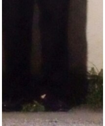 BASS | モカシン/デッキシューズ