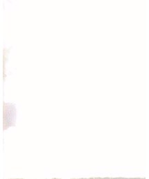 Goodwear(Since1983) | Tシャツ/カットソー