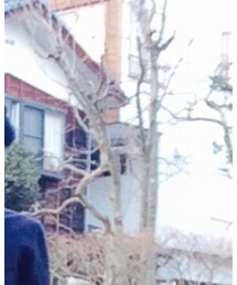 UNIQLO | ハンチング/ベレー帽