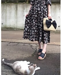 たーた先輩 | その他