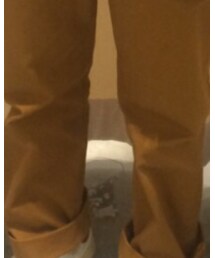 DANTON | その他パンツ