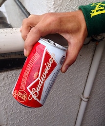 Budweiser | BEER(その他)