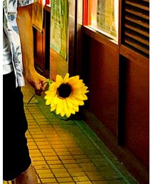 DAISO | アクセサリー