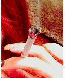 seven star | その他