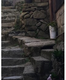 TODAYFUL | シャツ/ブラウス