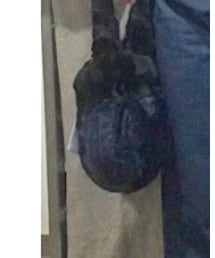 ZARA | トートバッグ