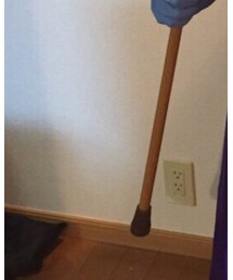 わしが王の中の王 りゅうおうである | その他