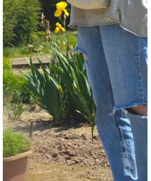 STYLENANDA | デニムパンツ