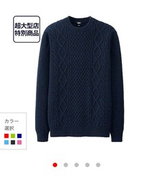 UNIQLO | ローゲージケーブルセーター(ニット/セーター)