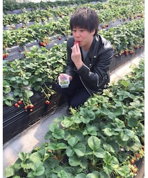 ドヤ顔 | その他