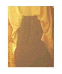 dw | アナログ腕時計