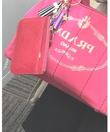 LOUIS VUITTON | カードケース