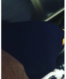 UNIVERSAL OVERALL | デニムパンツ