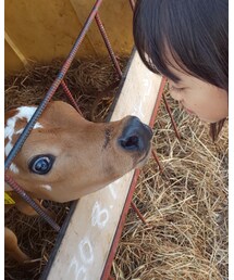 子牛とラブラブ💓😍💓 | その他