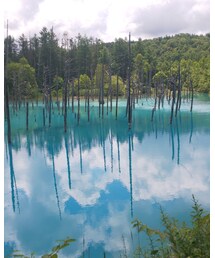 青い池 | その他