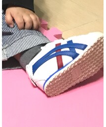Onitsuka Tiger | スニーカー