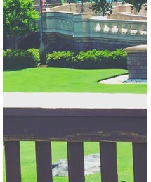 MICKEY MOUSE | その他