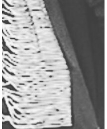 MYE-DO' | バックパック/リュック