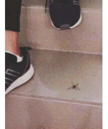 adidas | スニーカー