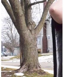 clouds of velvet | ストール/ショール