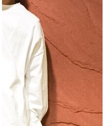 PRO CLUB  | Tシャツ/カットソー