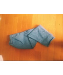 Honeys | その他パンツ