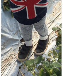 Birthday | その他パンツ