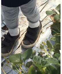 GU | スニーカー