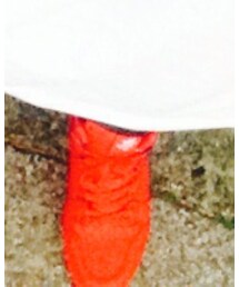 SUPRA | スニーカー