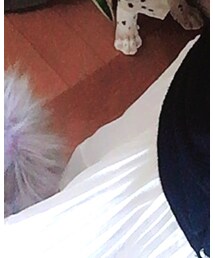 SNIDEL | ワンピース