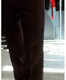 Levi's | スラックス