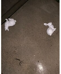 ホラーやないか🐇 | 福袋/福箱