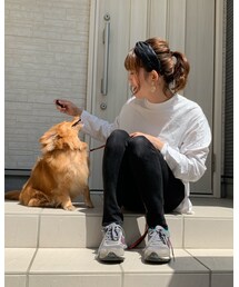 わんこがカメラ目線て難しい🤣 | 福袋/福箱