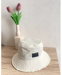 クレスト・プラス | ハット