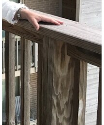 Milly | シャツ/ブラウス