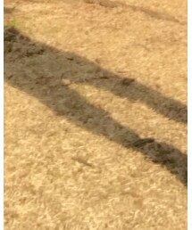 adidas | シューズ