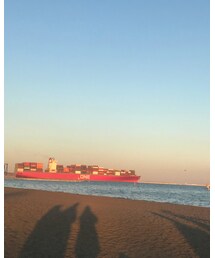 城南島海浜公園 | その他