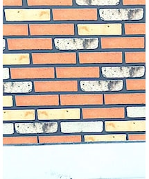 Rodeo Crowns | デニムパンツ